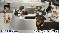  img http://mk0.ti1ca.com/jpqbinfr.jpg /img 